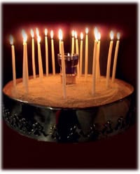 cover nekroi small c